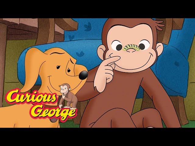 Curious George  George and Hundley's New Friends  Kids Cartoon   Kids Movies  Videos for Kids