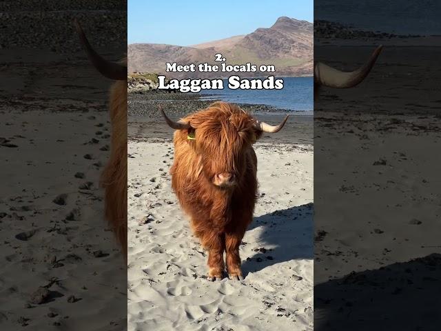 Things to do on the Isle of Mull | Visit Scotland