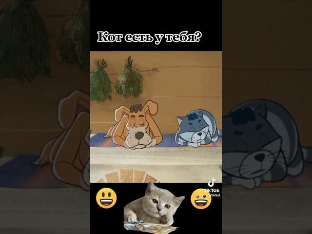 Шерстяные яйца