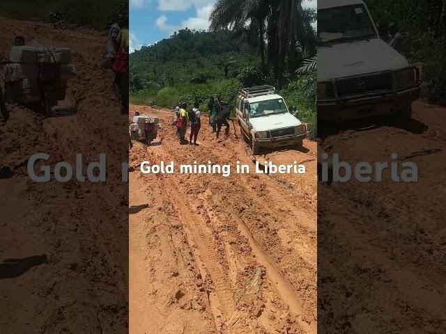 Gold mining in Liberia #activatedcarbon #goldmining #goldextraction