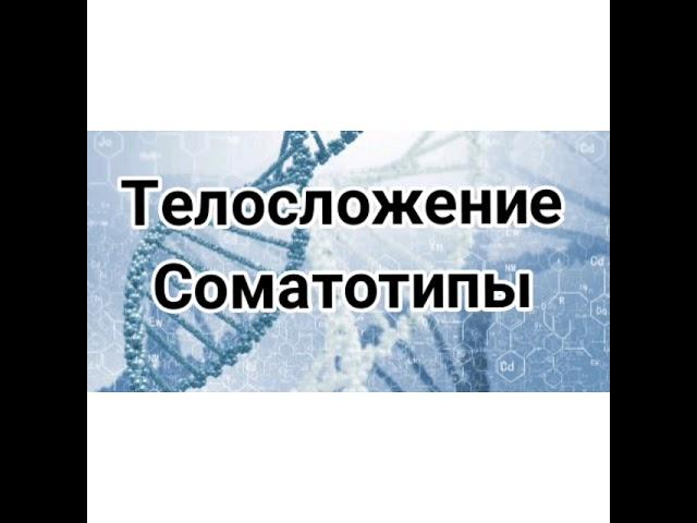 Телосложение. Соматотипы. Эктоморф, эндоморф, мезоморф. Типы телосложений человека. Примеры