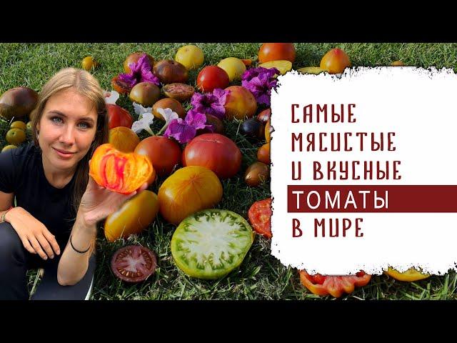 САМЫЕ МЯСИСТЫЕ И ВКУСНЫЕ ТОМАТЫ В МИРЕ