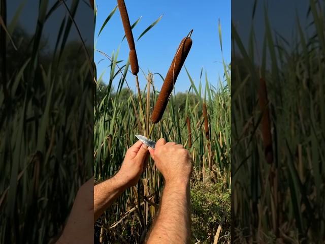 Amazing Life Hack: Make a Water Purification Filter in Extreme Conditions! #survival #skills