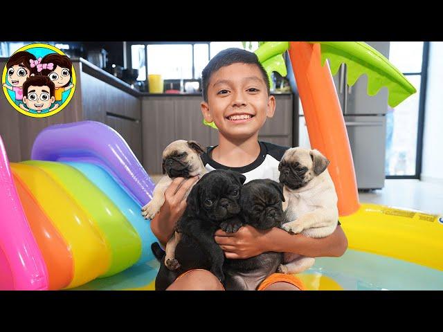 BAÑANDO A LOS PERRITOS DE PAN | Guzmancitos