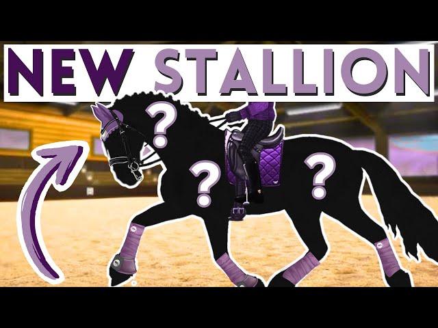 MEET MY NEW DREAM STALLION! ~ Star Stable Realistic Roleplay