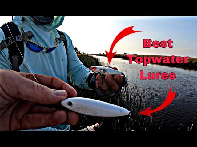 3 Best TOPWATER Lures for Saltwater Fishing