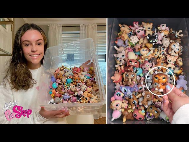 I BOUGHT A BOX OF LITTLEST PET SHOPS FOR $50 || 100+ Pets, Big 5, Rares