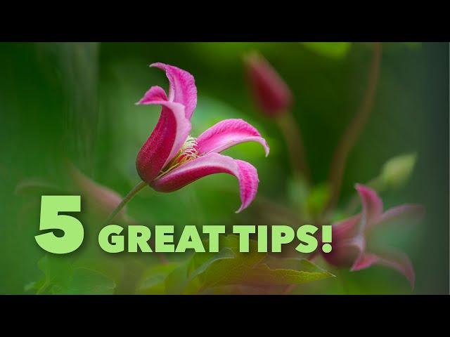 5 Pro Tips for Stunning Garden Photography!