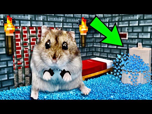 MINECRAFT Hamster Maze with Traps [OBSTACLE COURSE]