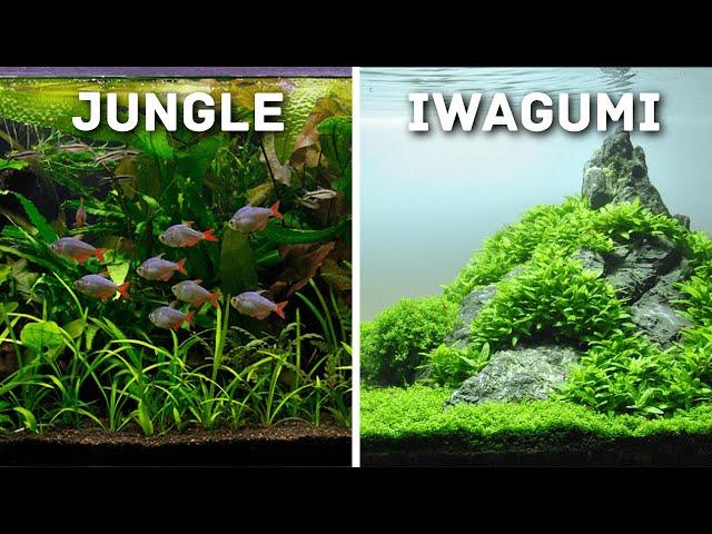 Must-Try Aquascaping Styles for Your Planted Aquarium