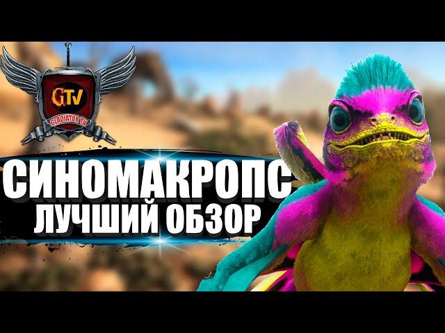 Синомакропс (Sinomacrops) в АРК. Лучший обзор: приручение, разведение и способности в ark.