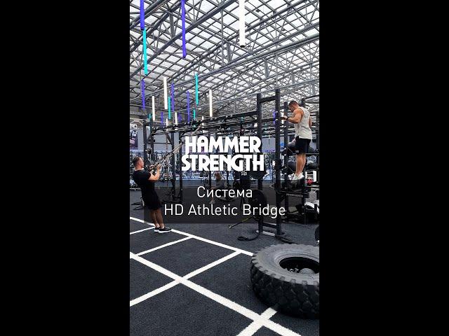 HD Athletic Bridge