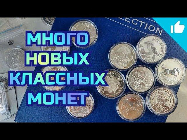 Много классных инвестиционных монет! Распаковка серебра!