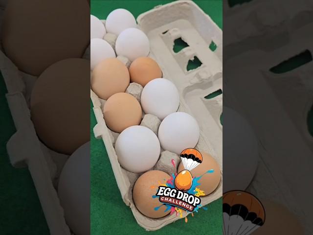 Egg Drop Challenge #elementary #science #stem #teacher #steam #experiment #engineering #eggdrop