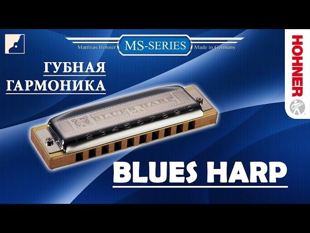 Обзор губной гармоники Hohner Blues Harp