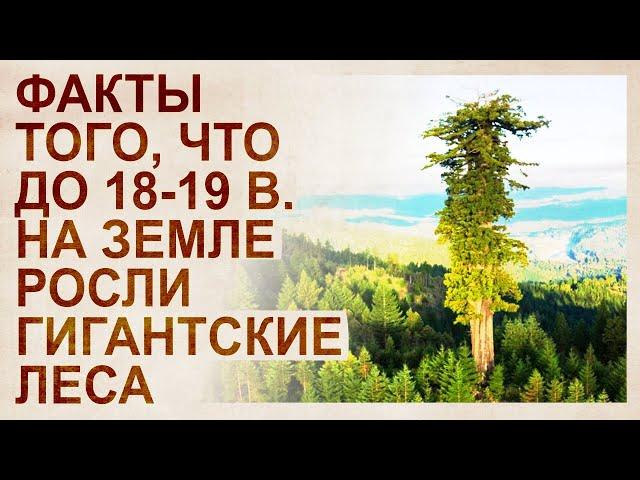 Facts of giant vegetation before creating official history