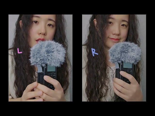 ASMR Twin Ear Blowing | Fluffy Mic Touching, Tascam (No Talking, 1Hr)