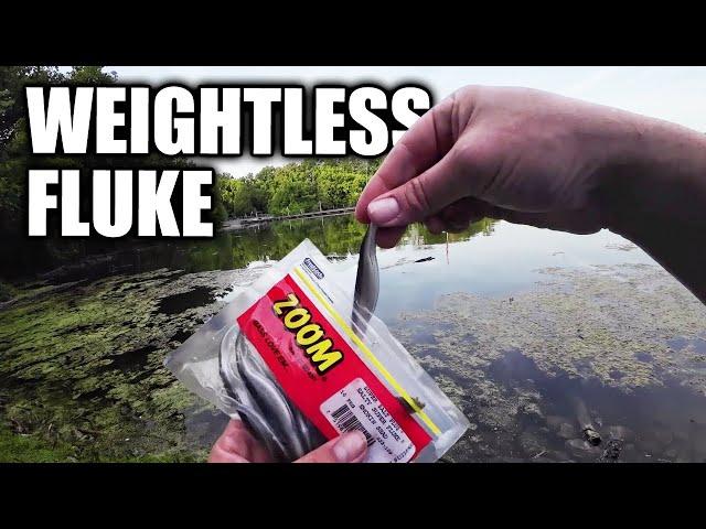 Bass Fishing With a Weightless Fluke! What Can I Catch on a Fluke??