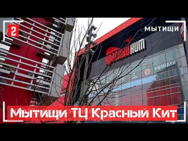 Мытищи Красный Кит Торговый Центр -2 SONY FDR-AXP55 Mytishchi shopping center 购物中心 쇼핑센터 ziminvideo