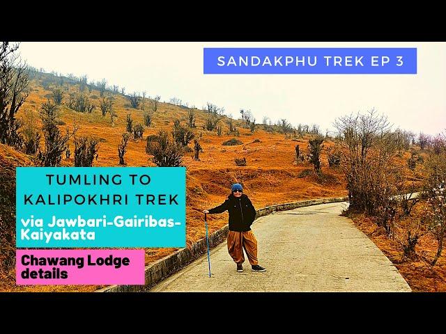 Kalipokhri | Sandakphu Trek EP3| Tumling to Kalipokhri Trek Route via Gairibas | Kalipokhri Homestay