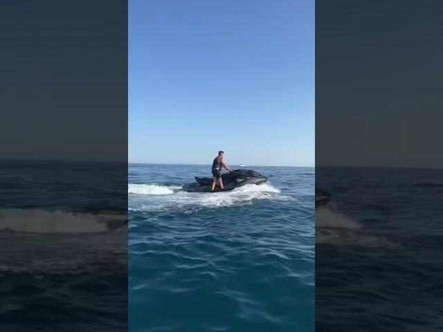 Sea doo life rxp 300