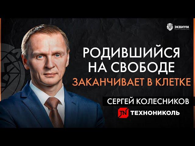 Миллиардер из 90-х: бизнес в Европе и России, цели и ценности. Сергей Колесников Технониколь