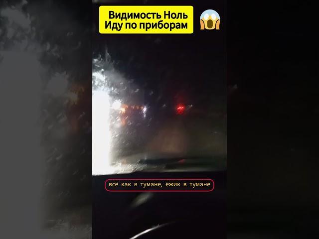  Видимость ноль иду по приборам  #shortsyoutube #tiktok #авто