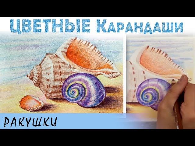 "Ракушки на песке" как нарисовать  КАРАНДАШИ цветные акварельные