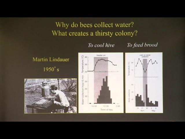 The Thirst of a Hive:  How Does a Honey Bee Colony Control its Water Intake? by Tom Seeley