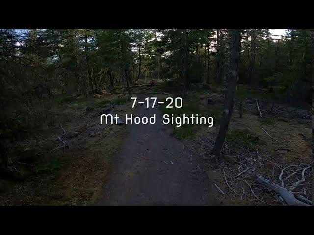 Bigfoot Sighting in Oregon July 17th 2020 by Mt Hood