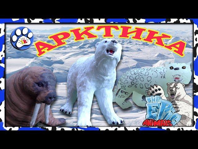 Снежные хищники и ко макси АРКТИКА (EPIC ANIMALS) как ДЕАГОСТИНИ ️