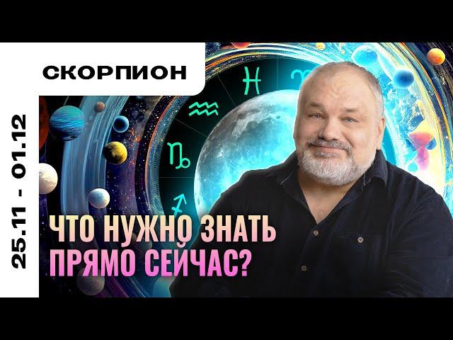 СКОРПИОН: РАСКЛАД ДЛЯ ПРОДУКТИВНОЙ НЕДЕЛИ 25 НОЯБРЯ - 1 ДЕКАБРЯ | ТАРО ПРОГНОЗ И МЕДИТАЦИЯ