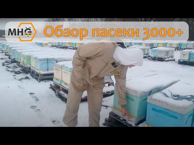 Обзор пасеки в 3000+ семей