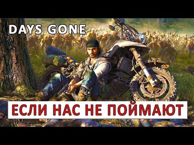 DAYS GONE (ПРОХОЖДЕНИЕ) #64 - ЕСЛИ НАС НЕ ПОЙМАЮТ