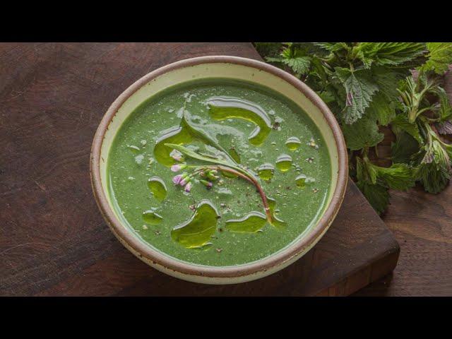 Classic Stinging Nettle Soup