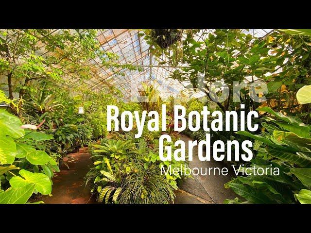 Royal Botanic Gardens - Melbourne Victoria 2020