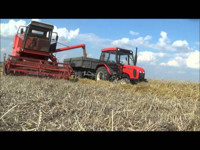 Ostatnie Żniwa 2014 !  ||Bizon Z0-56 ||Zetor 4320 ||Ursus c-330 || HD !