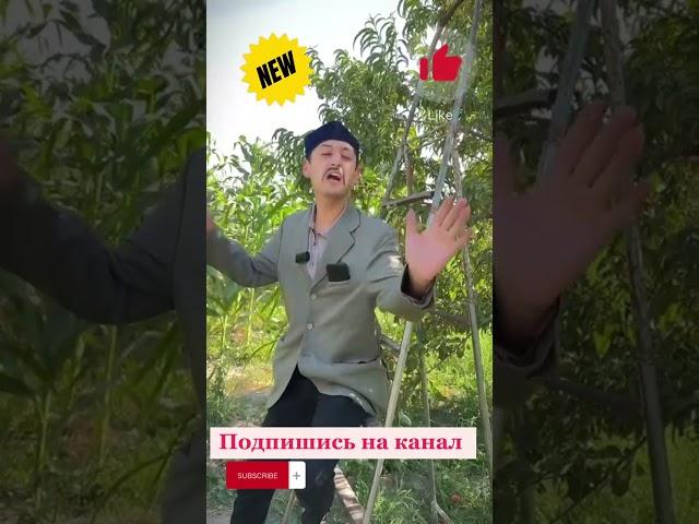 Бухарский прикол #buxoro #kulgu #prikol #Tajikistan #fedossobarbarosso #FedosoBarbaroso #kaynata