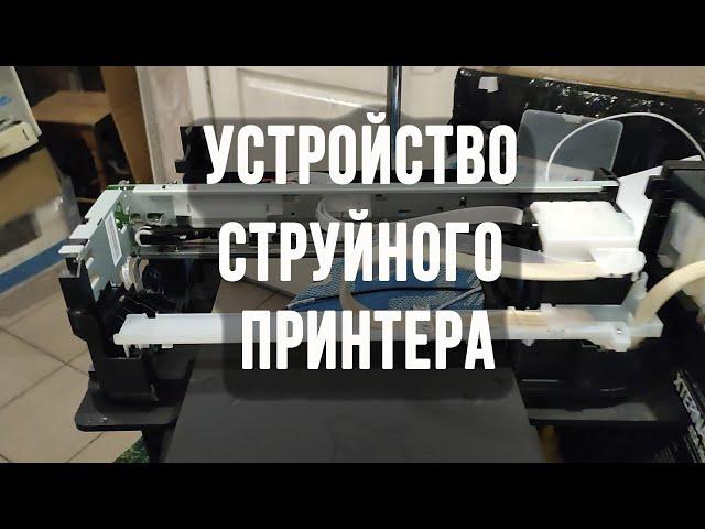 Устройство струйного принтера Epson из чего состоит струйный принтер