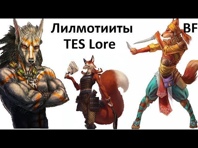 TES lore (Зверорасы). Лилмотииты-лисья раса Тамриэля и всё о ней.