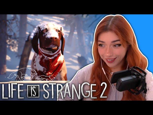 WE GOT A DOG | Life Is Strange 2 Episode 2