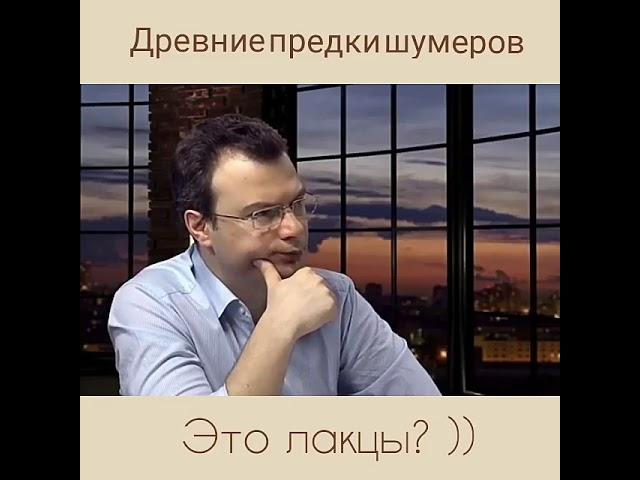 Шумеры произошли от лакцев.