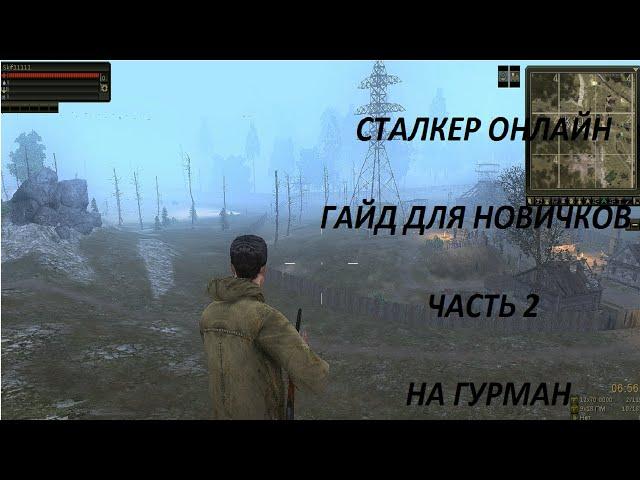 Сталкер онлайн гайд для новичков часть 2 На Гурман