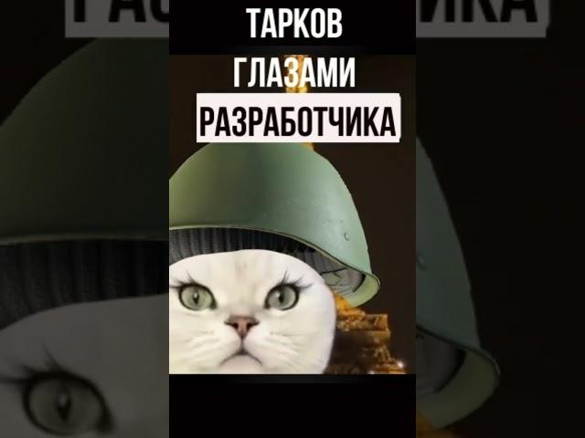 Тарков глазами разработчика #нихтмаре #тарков #escapefromtarkov #eft #tarkov #battlestategames