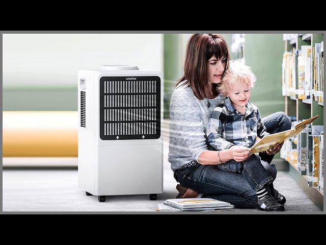 Top 5 Best Commercial Dehumidifiers In 2023 reviews