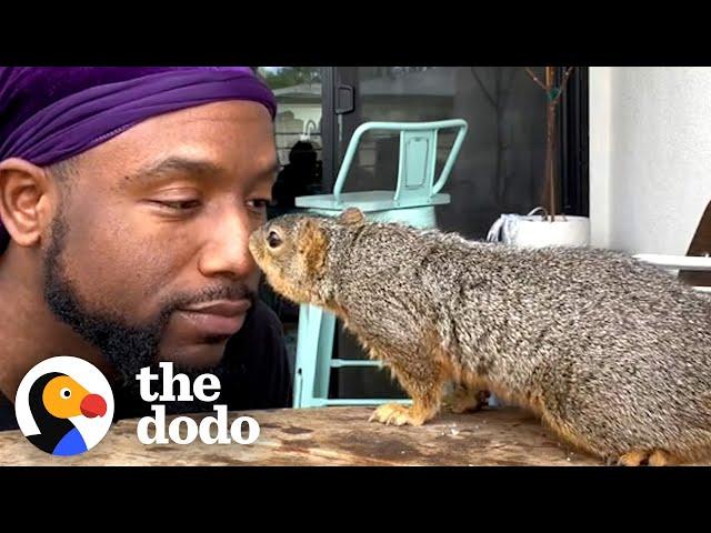 Guy Is The Best Friend A Squirrel Could Have | The Dodo