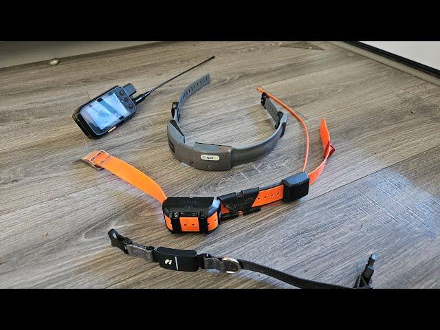 GPS Dog collar reviews