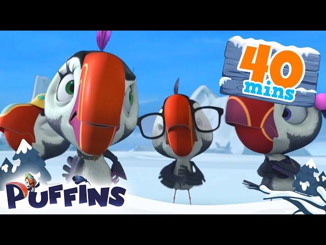 Puffins | 40 min | Pie's Puffin Party! | Cartoon For Kids | Puffins World