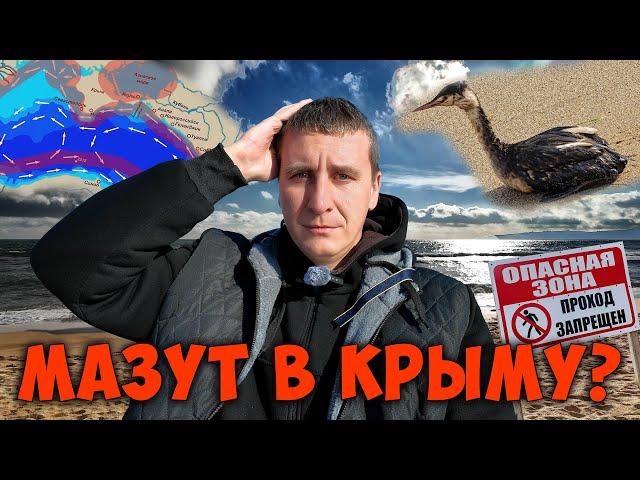 Мазут в Крыму? Обследуем побережье Чёрного моря от Феодосии до Коктебеля. Крым сегодня 2025 новости