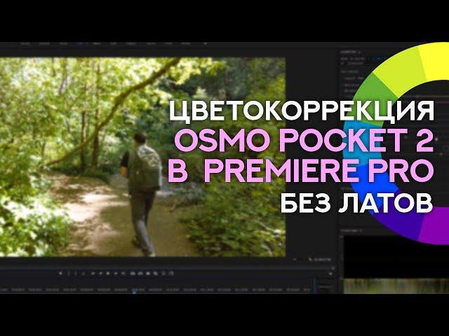 Цветокоррекция в Premiere Pro при работе с камерой Osmo Pocket 2 (без Латов) - Уроки редактирования